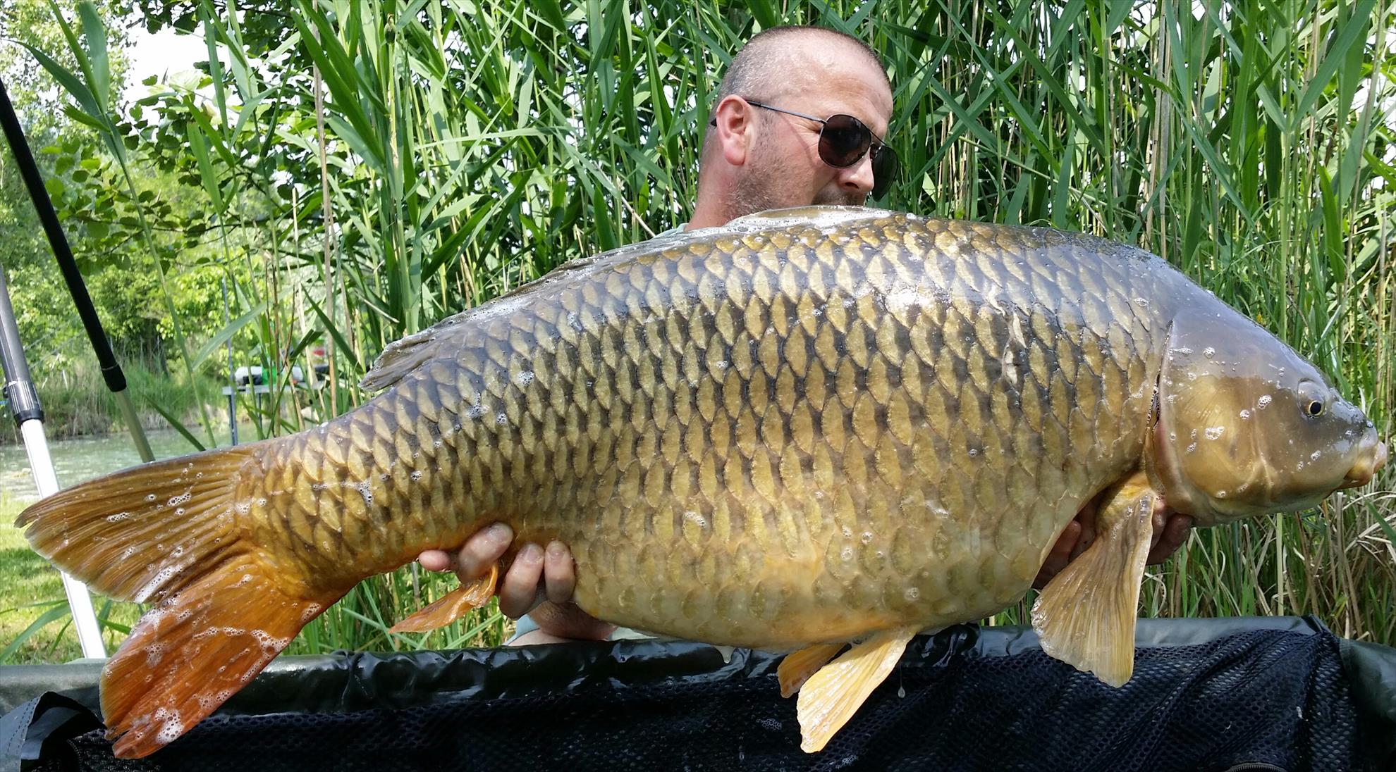 Lago Boschetto 27 - 29 mai 2016 - 20160527145807-1.jpg